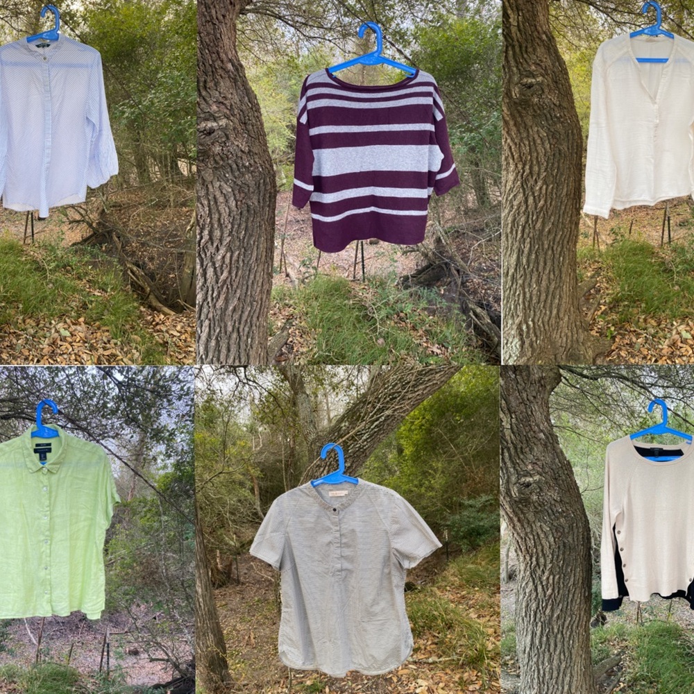 (6) Large 12-14 Tops Ralph Lauren Tahari Tory Burch J Crew Lot